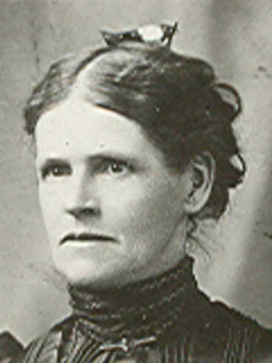 Maria Meady Lane (1847 - 1933) Profile